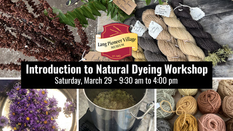 Introduction to Natural Dyeing on Wool – A Beginner’s Workshop